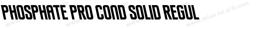 Phosphate Pro Cond Solid Regular字体转换